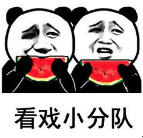 吃瓜表情包是啥意思,网络热词背后的文化现象